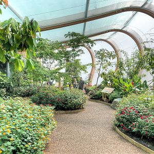 Butterfly House - 27/06/2015