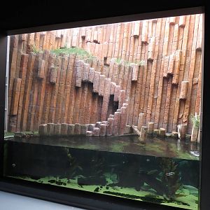 Faroe islands exhibit, June 2015.