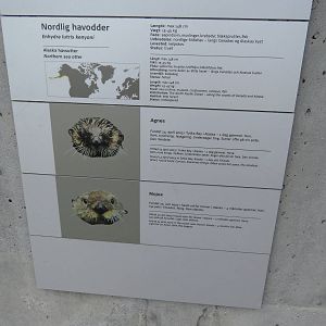 Sea otter labels, June 2015.