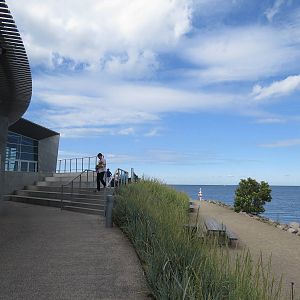 Sea otter viewing area, June 2015.
