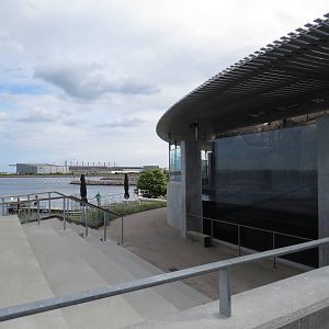 Sea otter viewing area, June 2015.