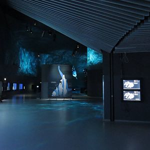 Tropical marine section of the aquarium, June 2015.