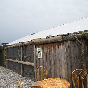 Military macaw aviary, June 2015.
