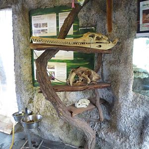 Skull display, June 2015.