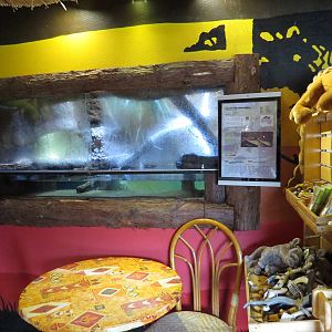 Freshwater crocodile vivarium, June 2015.