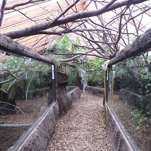 Viewing areas, June 2015.