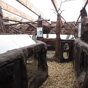 Viewing areas, June 2015.