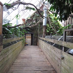 Boardwalk over alligator enclosures, June 2015.