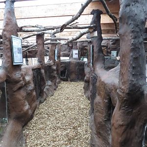 Viewing areas, June 2015.