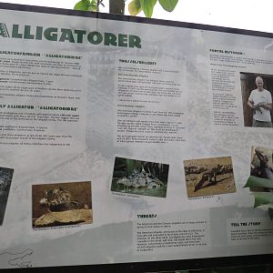 Alligator sign, June 2015.