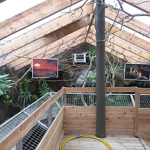 Nile crocodile viewing area, June 2015.
