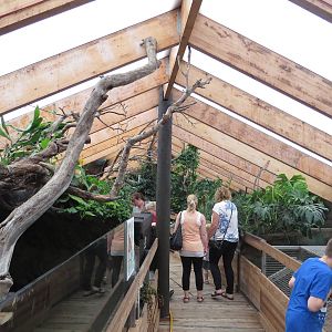 Crocodile boardwalk, June 2015.