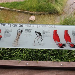 Comparative sign, June 2015.