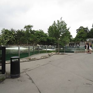 Harbour seal viewing area, June 2015.