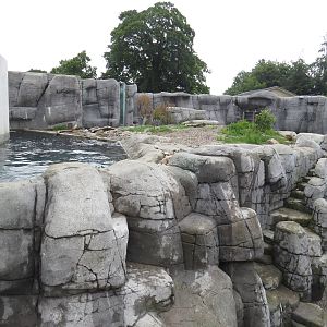 Polar bear enclosure, June 2015.
