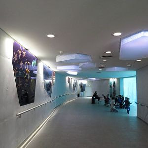 Arctic ring viewing area, June 2015.