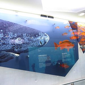 Signage in the Arctic ring, June 2015.