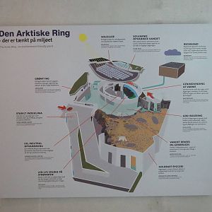 Arctic ring - A 'green' exhibit, June 2015.