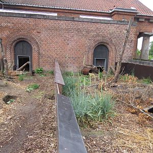 Tasmanian devil surplus enclosures, June 2015.