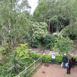 Wolf viewing area, June 2015.