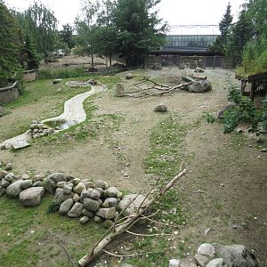 Musk ox enclosure, June 2015.
