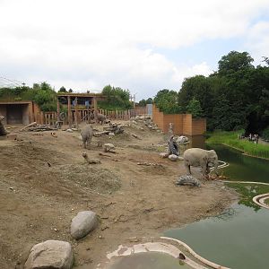 Elephant enclosure, June 2015.