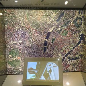 Elephants in old town, June 2015.