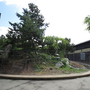 Red panda exhibit, June 2015.