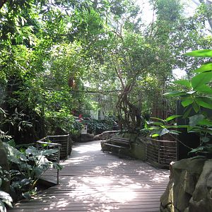 Rainforest hall, June 2015.