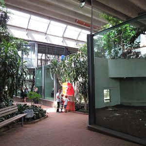 Chimpanzee viewing area, June 2015.