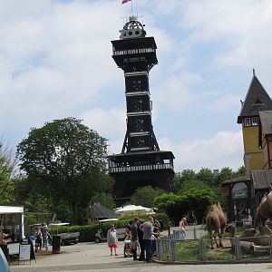 Zoo tower and camels, June 2015.