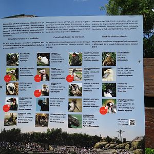 Animals in the show sign, June 2015