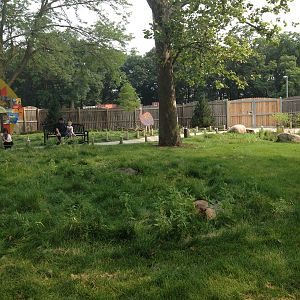 Hamill Family Wild Encounters- Wallabies and Emu