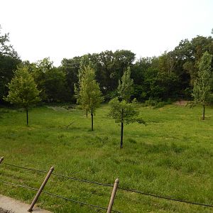 7/3/2015 - Caribou Habitat