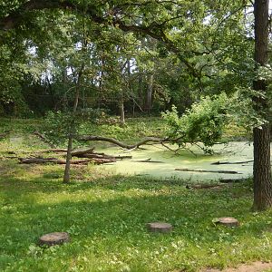 7/3/2015 - Dhole Habitat