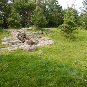 7/3/2015 - Takin Habitat Left Half