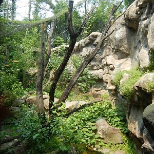 7/3/2015 - Cougar Exhibit