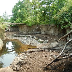 7/3/2015 - Wild Boar Exhibit