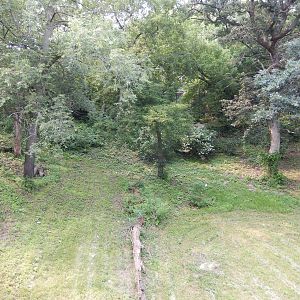 7/3/2015 - Tiger Base Camp