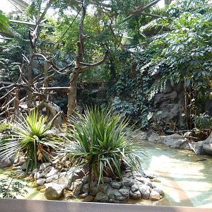 7/3/2015 - Gibbon Lagoon