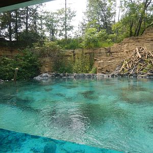 7/3/2015 - Beaver Habitat