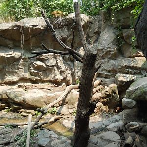 7/3/2015 - Wolverine Habitat