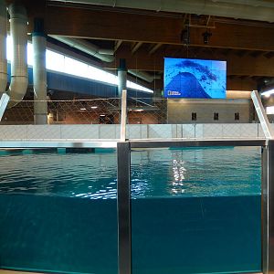 7/3/2015 - Left Half of Hawaiian Monk Seal Tank