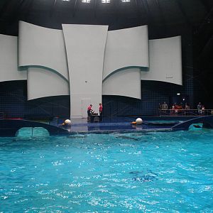 Dolphin Stadium.