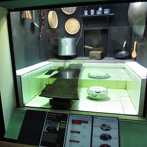 Notorious Annam leaf turtle display, July 2015.