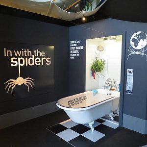 In with the spiders, July 2015.
