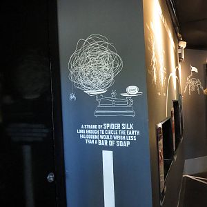 In with the spiders - signage, July 2015.