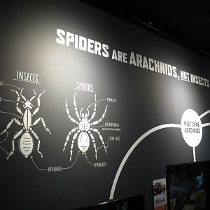In with the spiders - signage, July 2015.