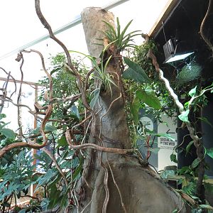 In with the spiders walkthrough, July 2015.