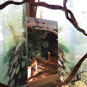 In with the spiders - take a selfie with an orb web spider, July 2015.